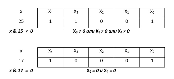 05.jpg